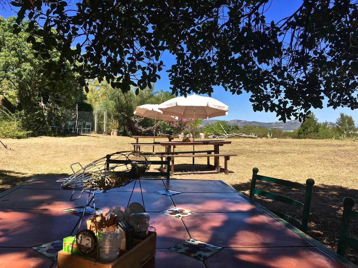 Shepherd'S Tree Backpackers Knysna Exterior photo