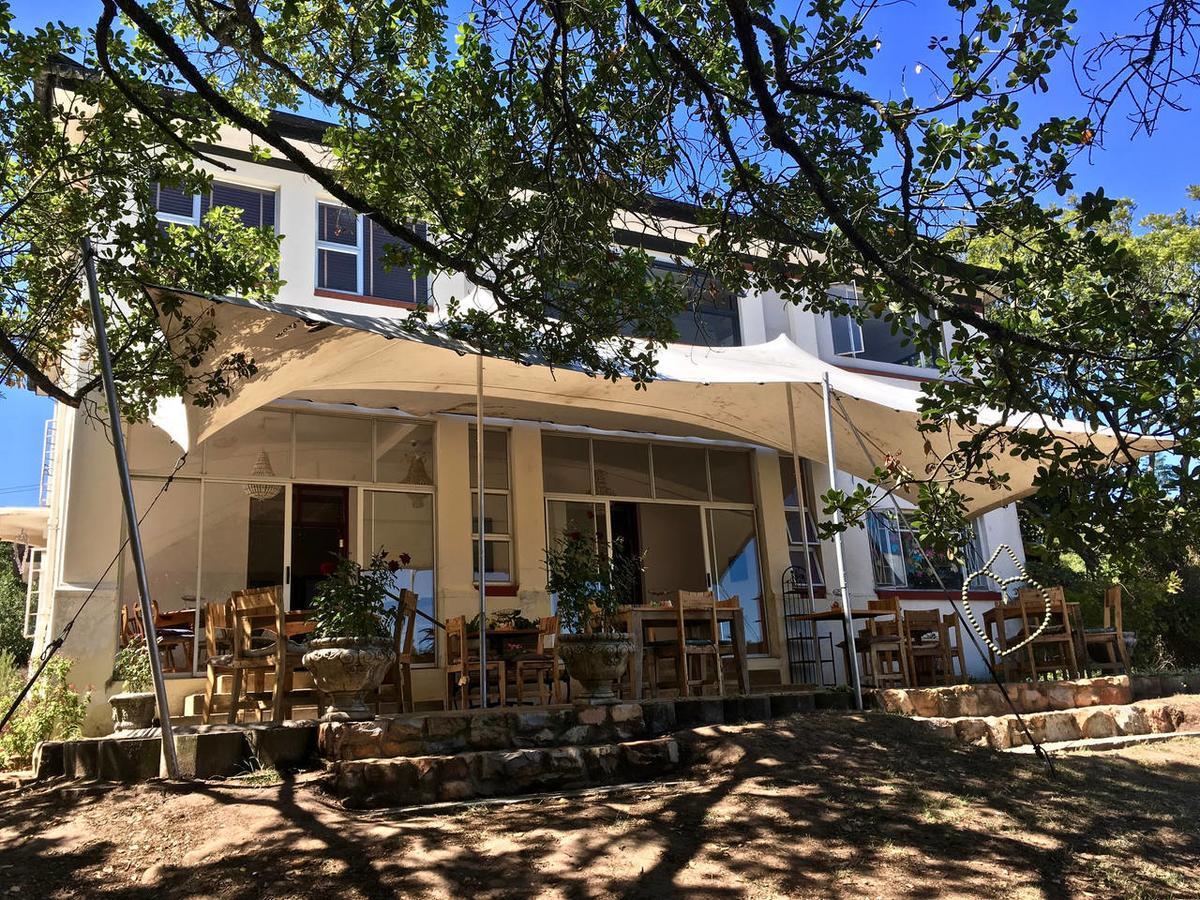 Shepherd'S Tree Backpackers Knysna Exterior photo